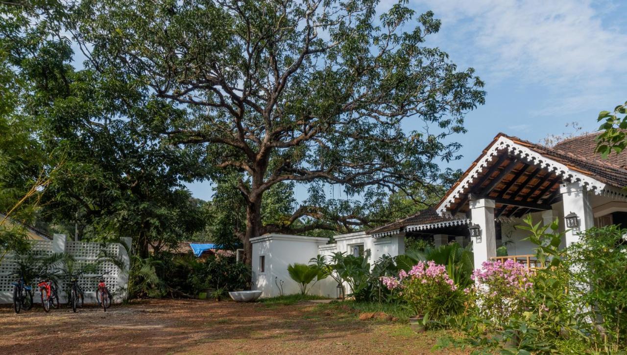 The Island Sanctuary - A Village Secret Chorao 외부 사진